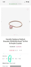 將圖片載入圖庫檢視器 Pandora charm