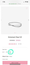 將圖片載入圖庫檢視器 Pandora charm