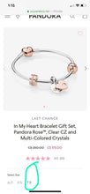 將圖片載入圖庫檢視器 Pandora charm