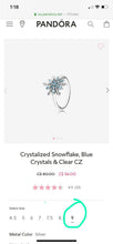 將圖片載入圖庫檢視器 Pandora charm
