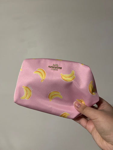 Coach makeup bag