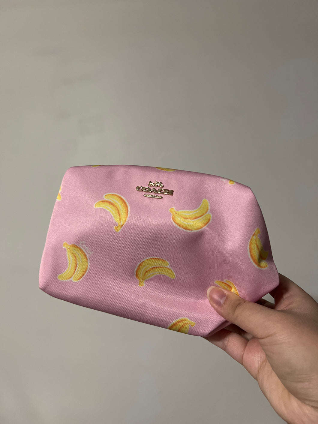 Coach makeup bag