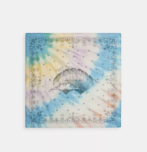 Coach scarf 不包郵 已訂